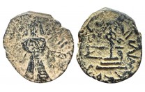 فلس أموي الواقف حلب - 3913 -